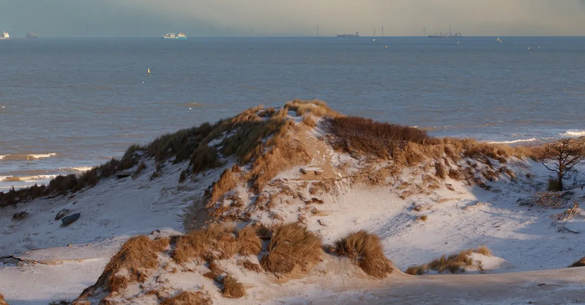 Nederlandse duinen aan de Noordzee in de winter
